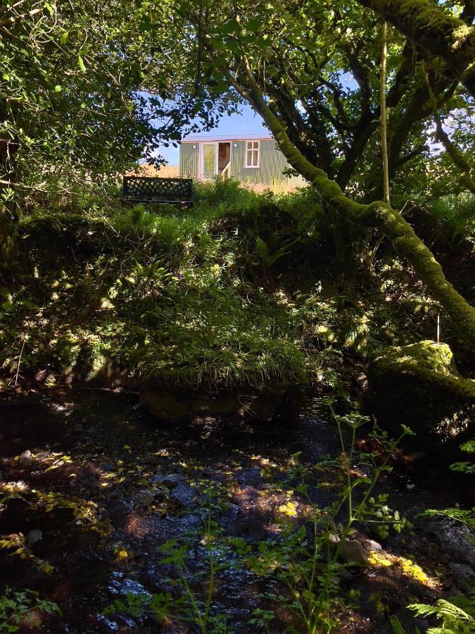 Stepping Stones Glamping 'The Olive' Vila Bantry Exterior foto