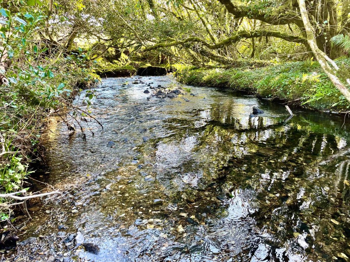 Stepping Stones Glamping 'The Olive' Vila Bantry Exterior foto